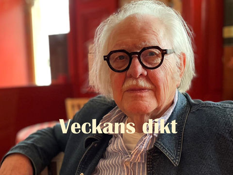 Veckans dikt - Long-distance call - Gunnar Harding