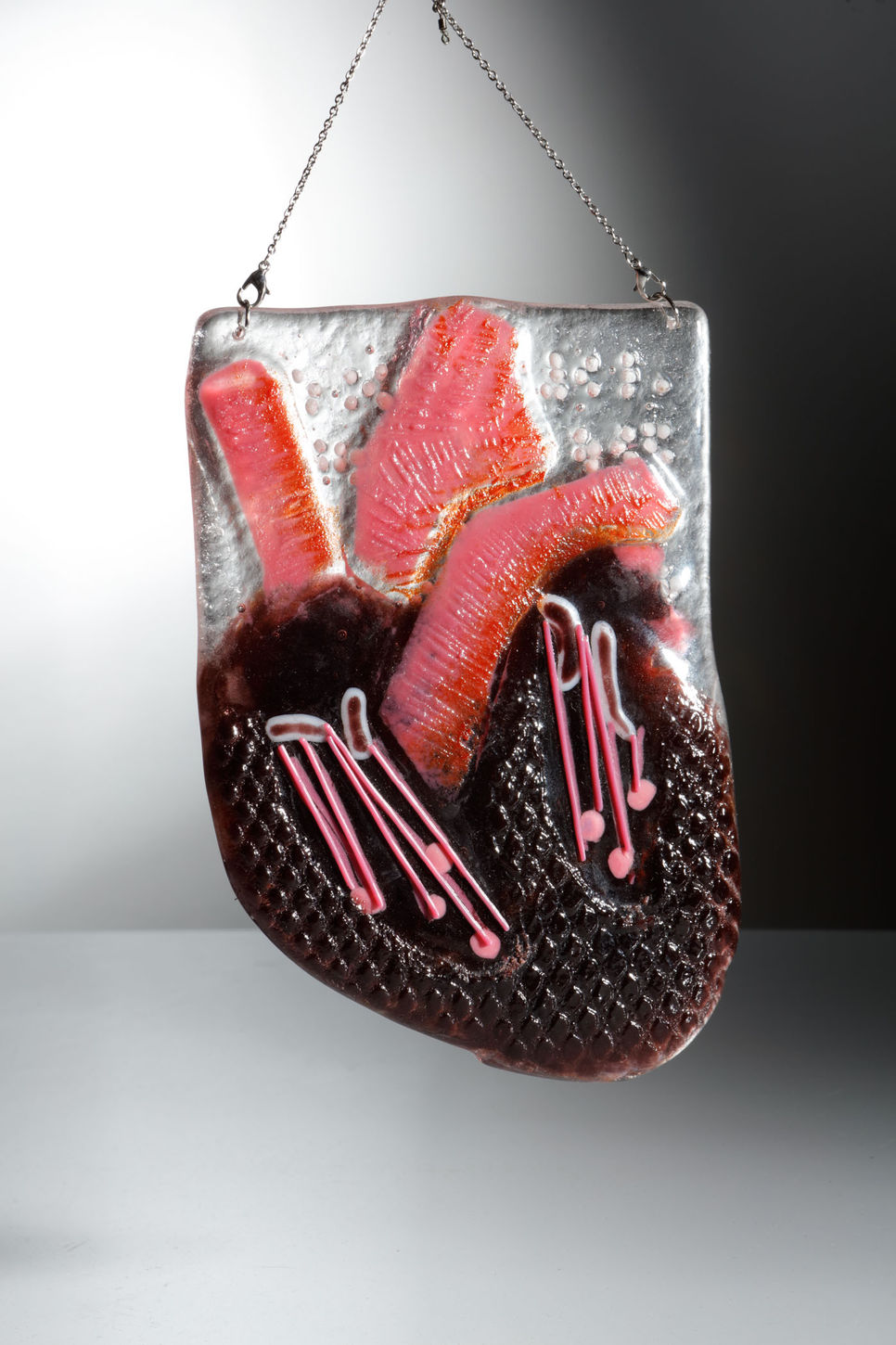 One face of a piece of clear glass with an anatomical dissection of a heart on it.