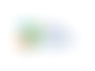 One Year in Indonesia: Launching DEPI with Purpose