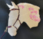 IMG_20210121_125034_edited