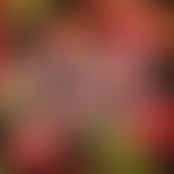 Bringing a fresh market rebrand to life for M&S Food