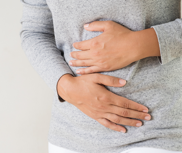 gut health during perimenopause