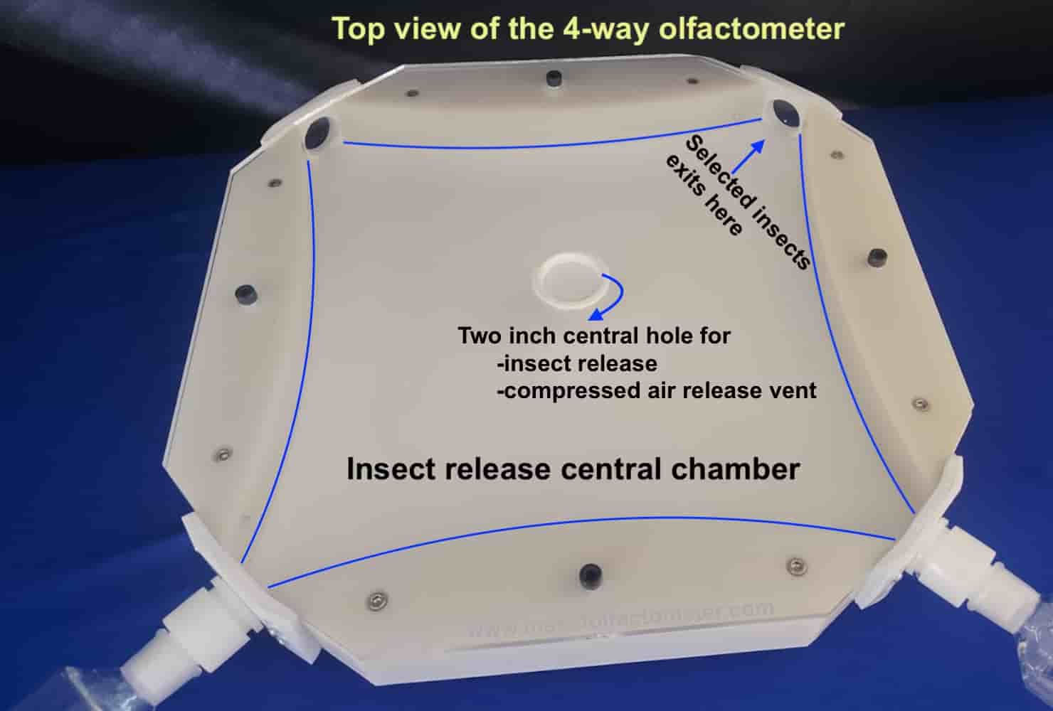4-way olfactometer with mesh rail for clawed insects
