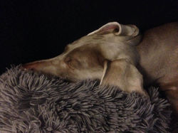 10389297_847082358684007_6532941499547171008_n