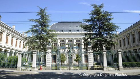 © Delphine Flachez 2.png