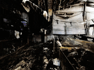 3303-58-Ave-SE-SHORT-INTRO-320x240-GIF.gif