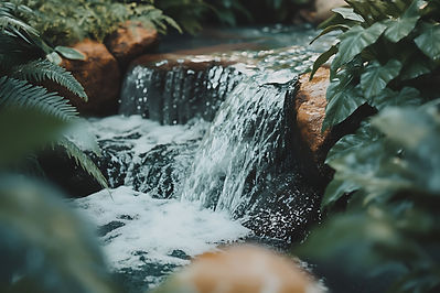 AdobeStock_1370060688 (1).jpeg