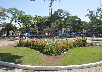 DSC_1026.jpg