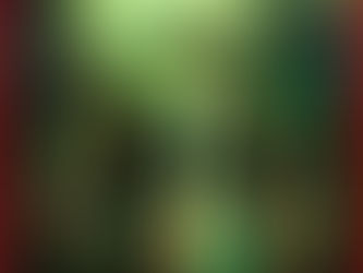 St. Patty's Day at the FOP