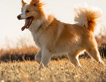 blond et blanc (sky).jpg