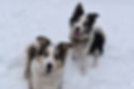 Moon et Alaska