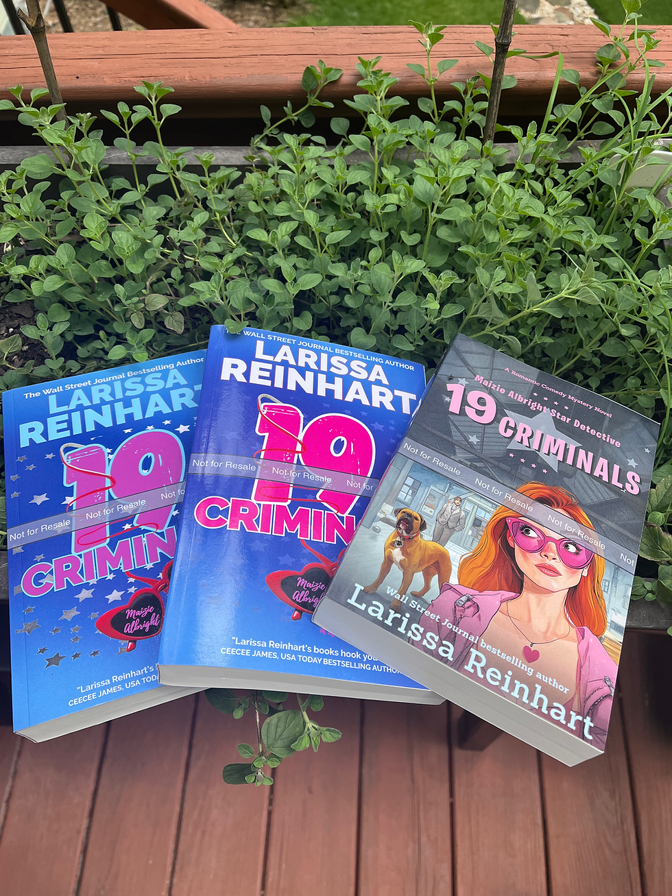 Three proof paperbacks of 19 CRIMINALS, A Romantic Comedy Mystery Novel (Maizie Albright Star Detective 8)