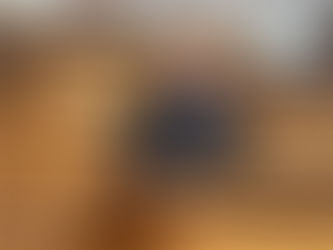 Το παρόν νομοσχέδιο έρχεται να διορθώσει μία παράλειψη δεκαετιών και να αποκαταστήσει μια πραγματική εθνική πολιτισμική ανάγκη