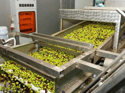 Παρέμβαση του βουλευτή Μάρκου Καφούρου και θετική ανταπόκριση από τον υπουργό Εσωτερικών, για τη λειτουργία Ελαιοτριβείων από τους Δήμους κατόπιν αιτήματος του δημάρχου Τήνου