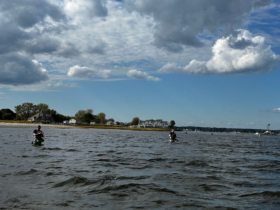 Our time on South Beach, Stratford