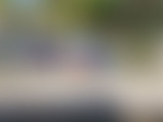 Limestone Outing is in the Books