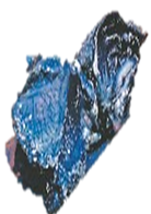 PP.png