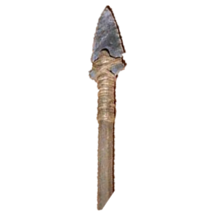 9.png