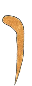 TOPILI 2.png