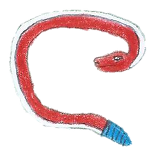 10.png