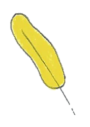 8.png