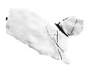 TISATE.png