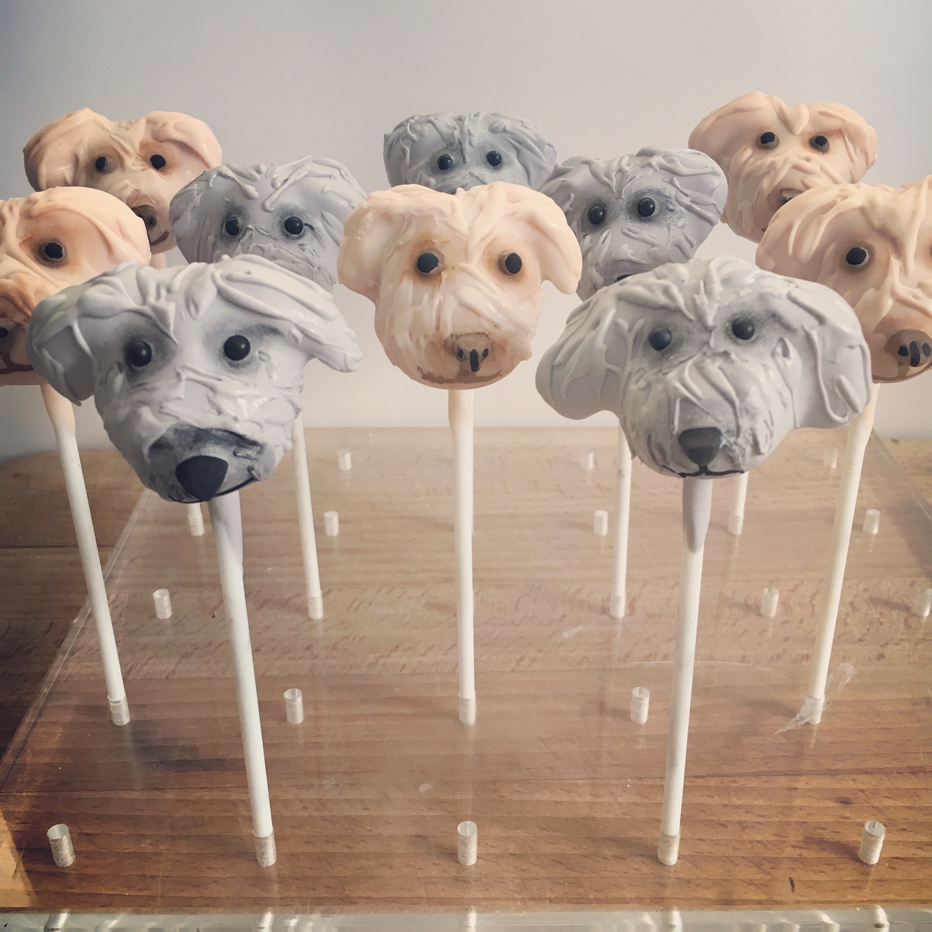 Personalised Pets