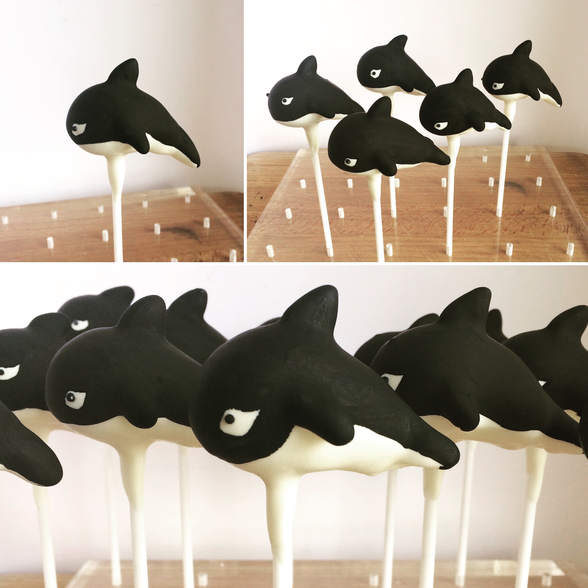 Orca's