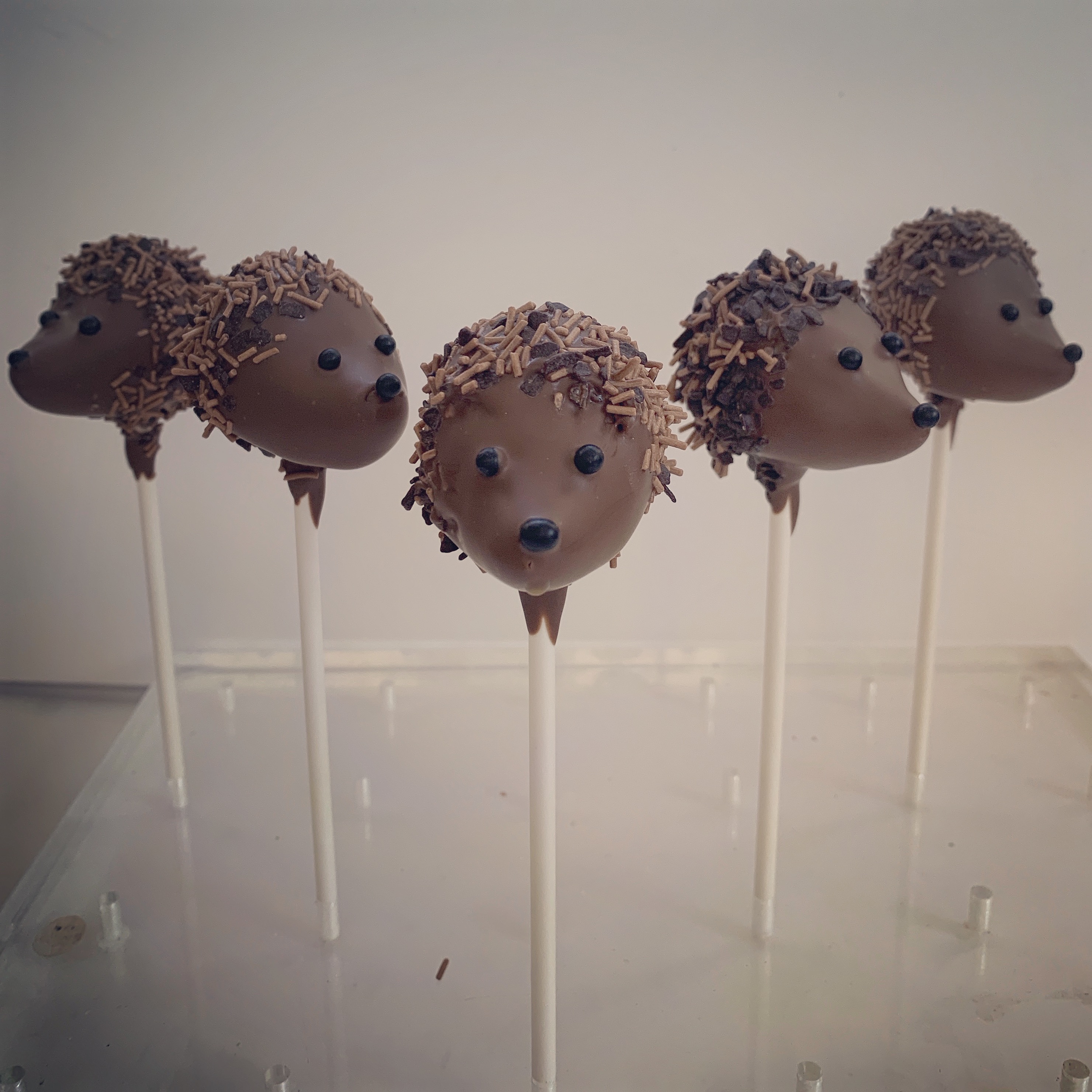 Woodland party