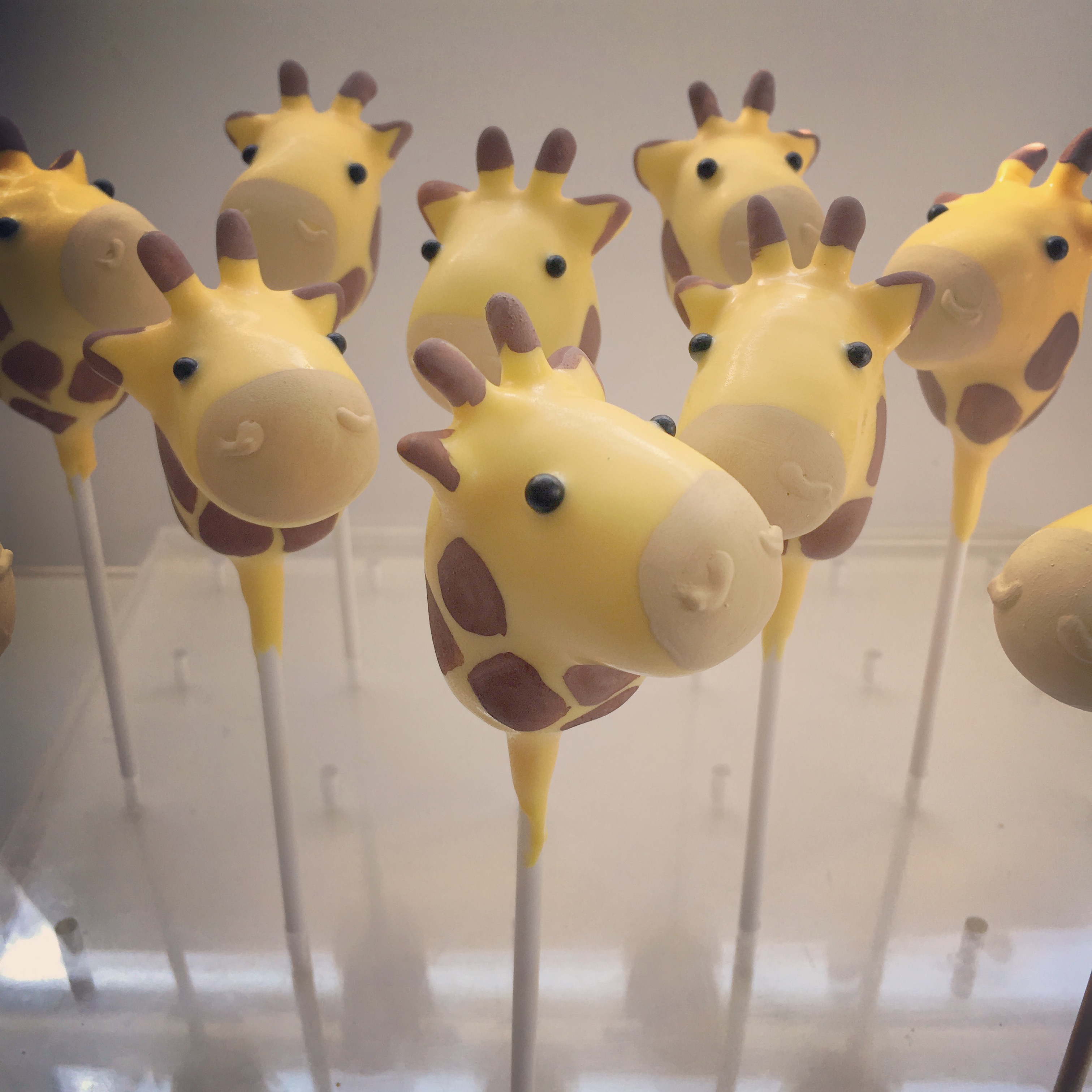 Giraffes