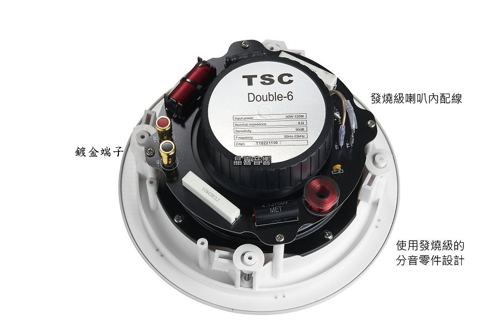 縮圖：晶喜音響 TSC 崁入式喇叭 1組2支 雙高音+低音加強 極佳環繞包圍感 吸頂式喇叭 天空聲道喇叭 環繞喇叭