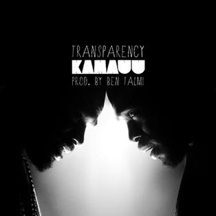 KAMAUU - Transparency