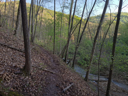 Why Right Now Is the Best Time to Find Fall Beds and Prep Food Plots