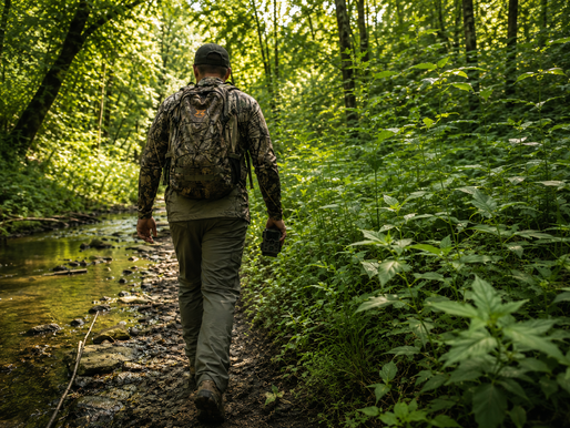 June in Kentucky: Why Scouting Safety Deserves Hunt-Season Respect