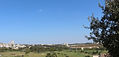 IMG_2440.jpeg