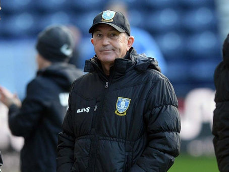 The Defenestration of Tony Pulis and the fallout for Sheffield Wednesday
