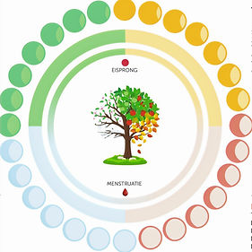 Judith in eenvoud | vrouwelijke cyclus | Groningen