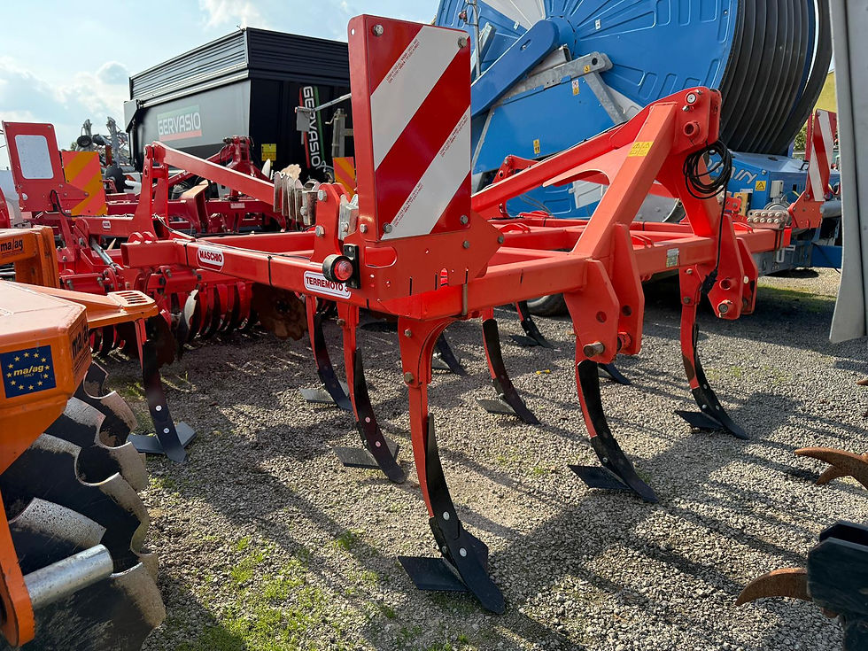 Miniatura: MASCHIO - ripuntatore Terremoto 300