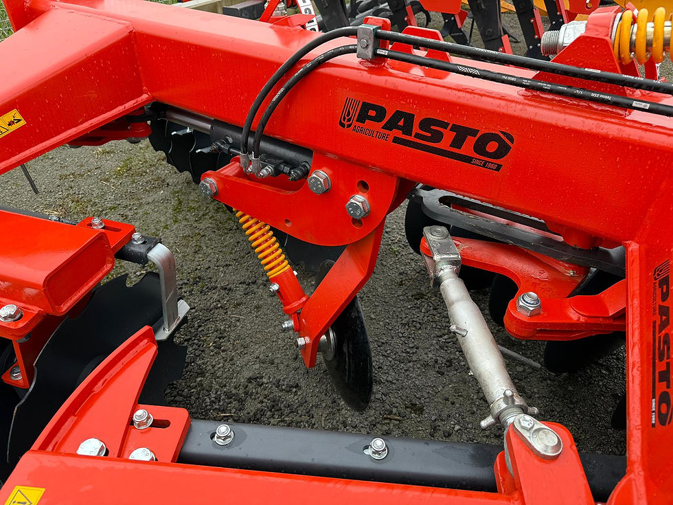 Miniatura: PASTO' - erpice a dischi SDX 25-290