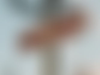 The Law is a signpost, not a Savior