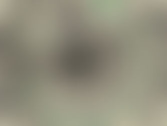 The First Principle of Wealth Management