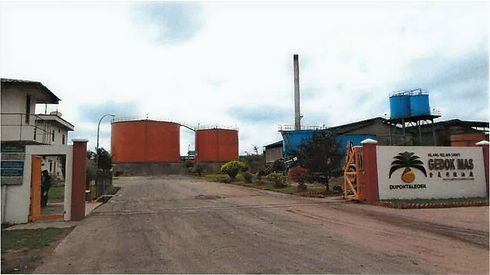 DUPONT_edited.jpg