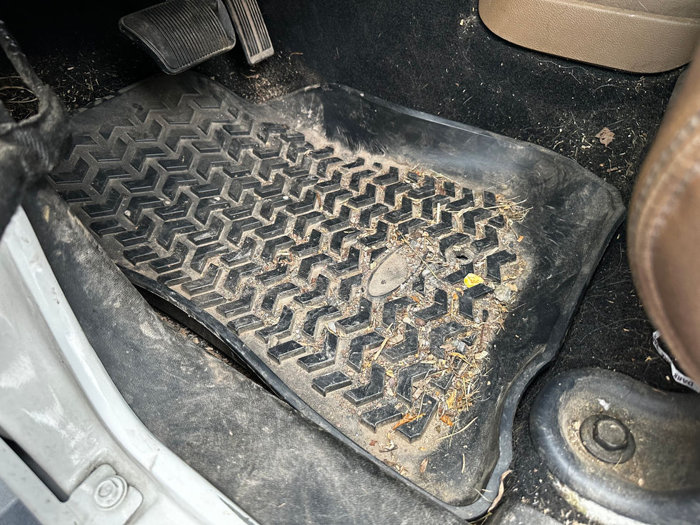 2012 Jeep Wrangler Sahara.jpg