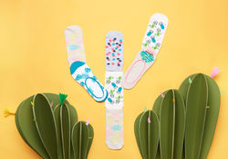 PENTI_17_01_17_89985