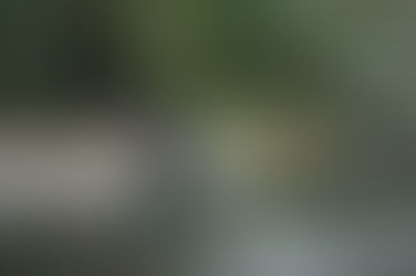 Creating Connections: LeeAnn Langdon Helps us Make the Most of the New Year!