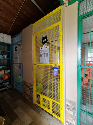 V4 | HAYAT Life Cat & Dog Hotel Alanya