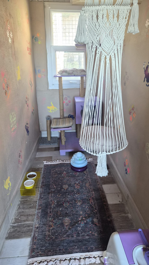V3x | HAYAT Life Cat & Dog Hotel Alanya