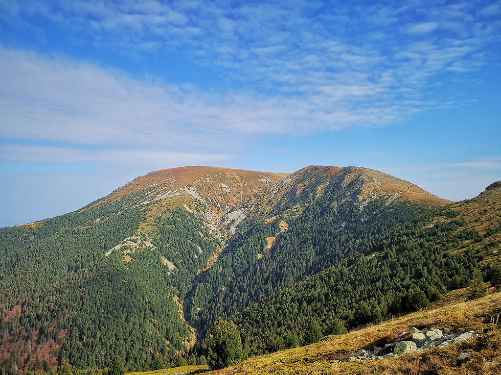 Връх Тетевенска баба, Стара планина.jpg