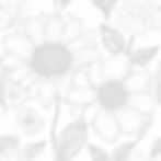 black and white drawn flowers_edited.jpg