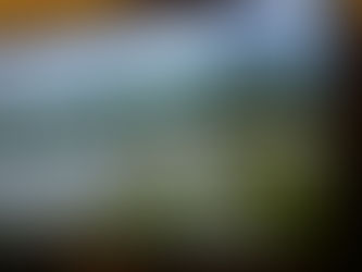 La diminution du nombre de réfugiés?
Allons donc!